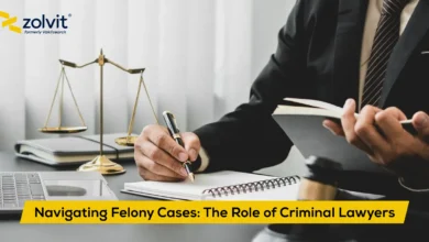 felony cases handled by criminal lawyer