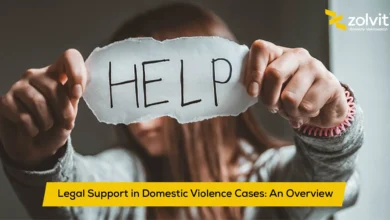 domestic violence cases legal support