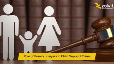 child support cases lawyer role