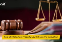 Intellectual Property Law